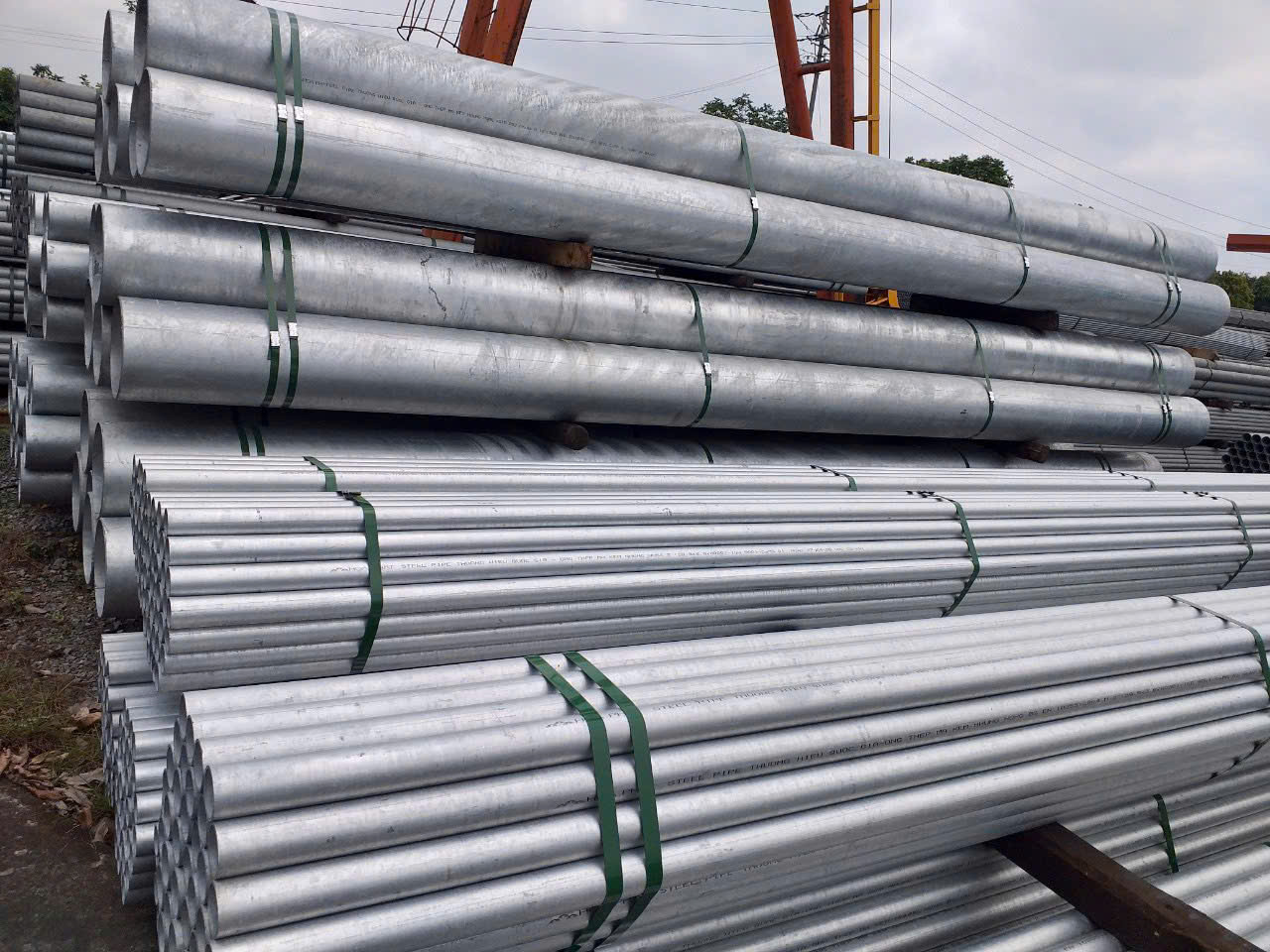 gia-thep-ong-hoa-phat-hom-nay-tai-binh-tan